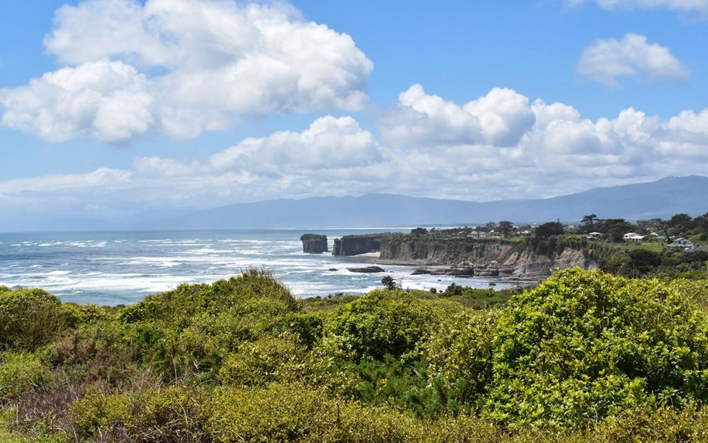 Cape Foulwind is a great walk of the New Zealand West Coast