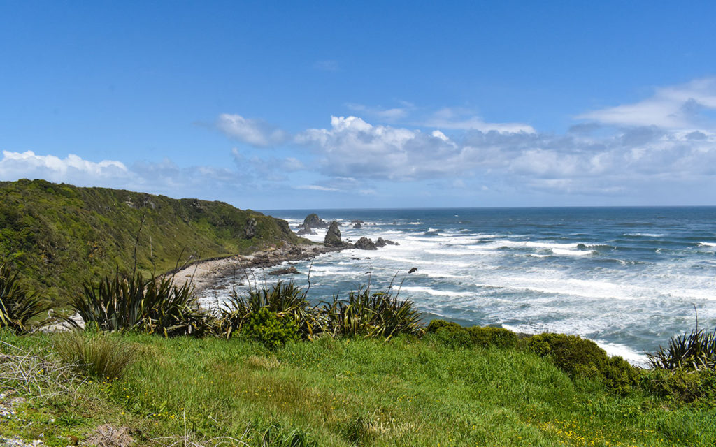 Take a New Zealand coastal walk at Cape Foulwind