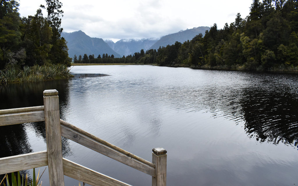 Lake Matheson is a heaven for bird life in Fox Glacier