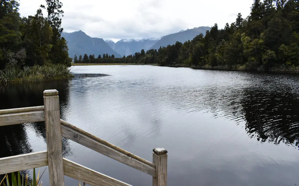 Lake Matheson is a heaven for bird life in Fox Glacier