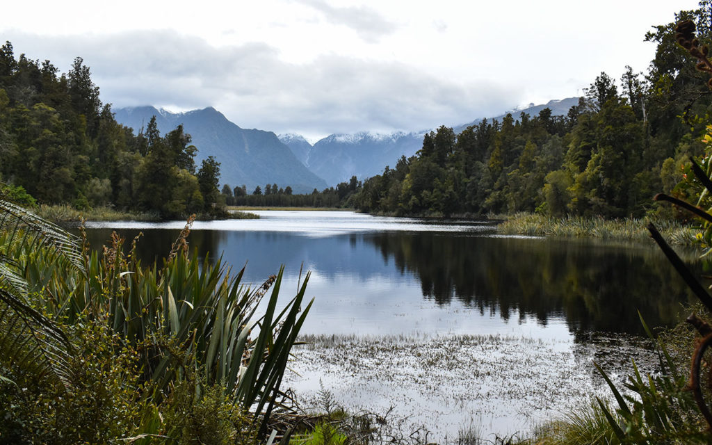 Lake Matheson is like a mirror on a still day