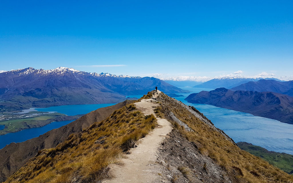 Take a hike up to Roys Peak on your New Zealand South Island 2 week itinerary