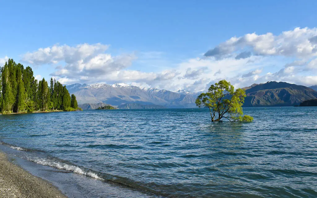 The Wanaka Tree is a very popular photography spot