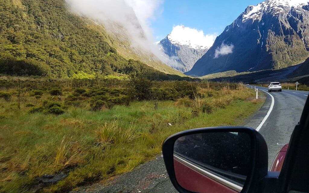 You need to be alert on the roads of New Zealand