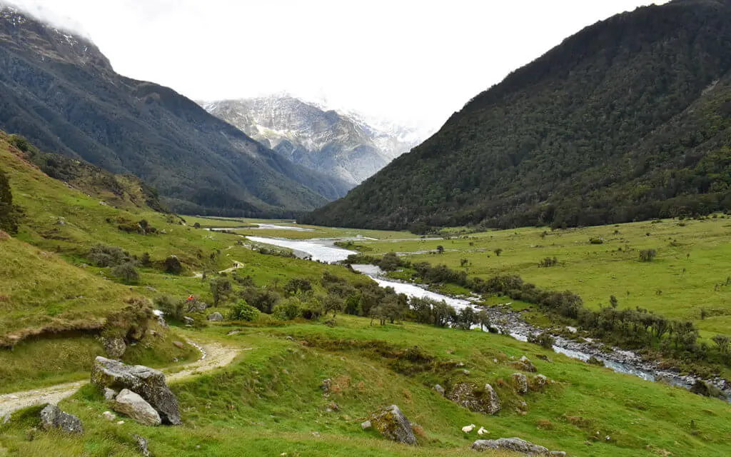 Take a drive, then take a walk in New Zealand