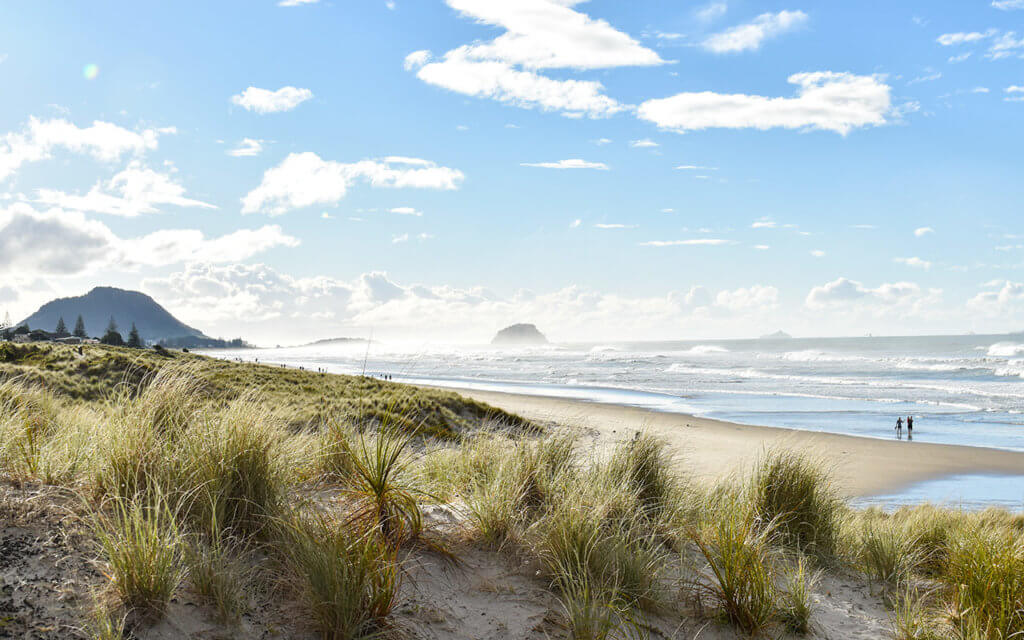 A drive in New Zealand will show you some beautiful beaches