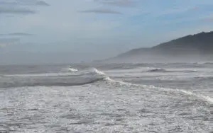 Explore the West Coast from Greymouth New Zealand