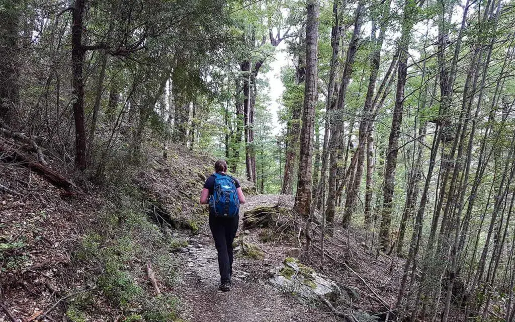 Taking a hike in New Zealand is peaceful and reflective