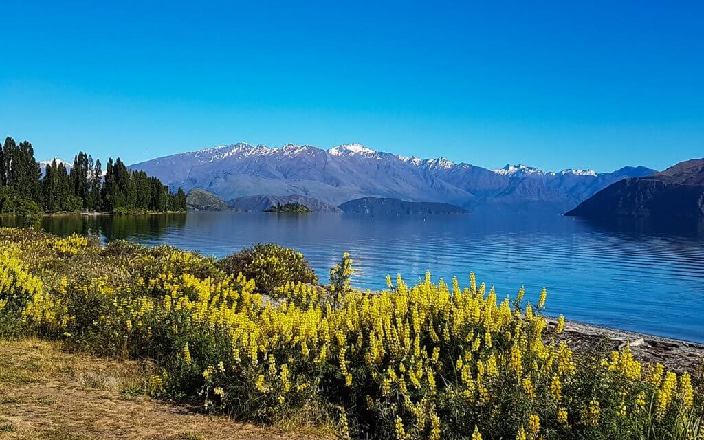 There are many day hikes around Wanaka, New Zealand