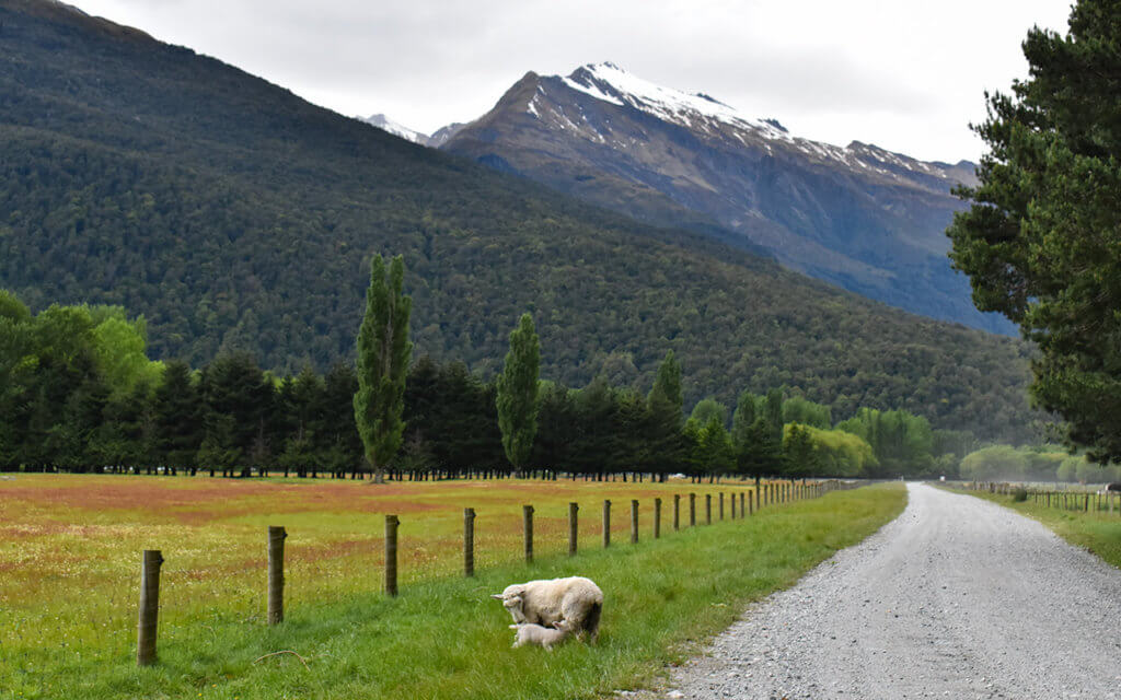 The road to Mount Aspiring National Park goes a long way