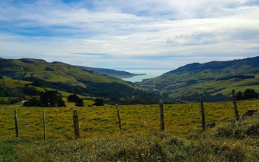 Driving to the Banks Peninsula and Akaroa is a great day trip