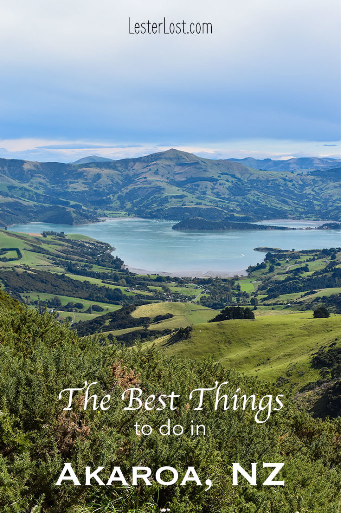 Akaroa in New Zealand has plenty of great things to do for a holiday