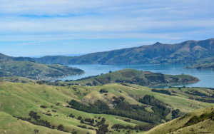 This is my list of the best things to do in Akaroa New Zealand