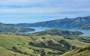 This is my list of the best things to do in Akaroa New Zealand