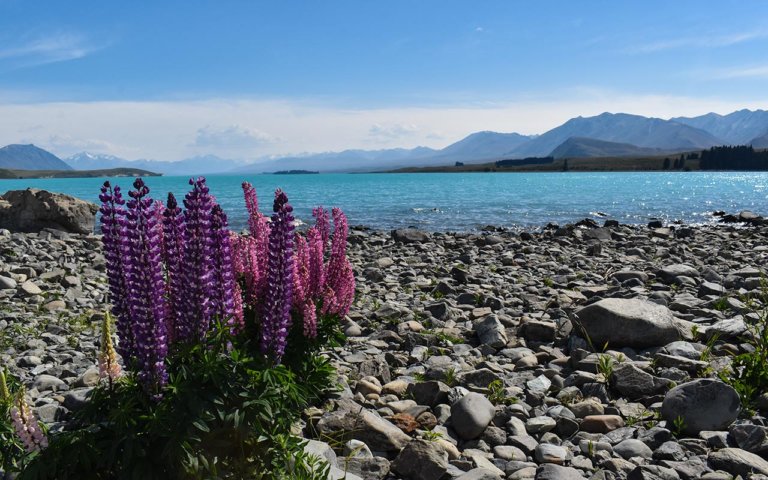 The Most Stunning New Zealand Lakes | LesterLost