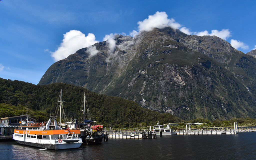 Milford Sound Harbour is dedicated to excursion boats