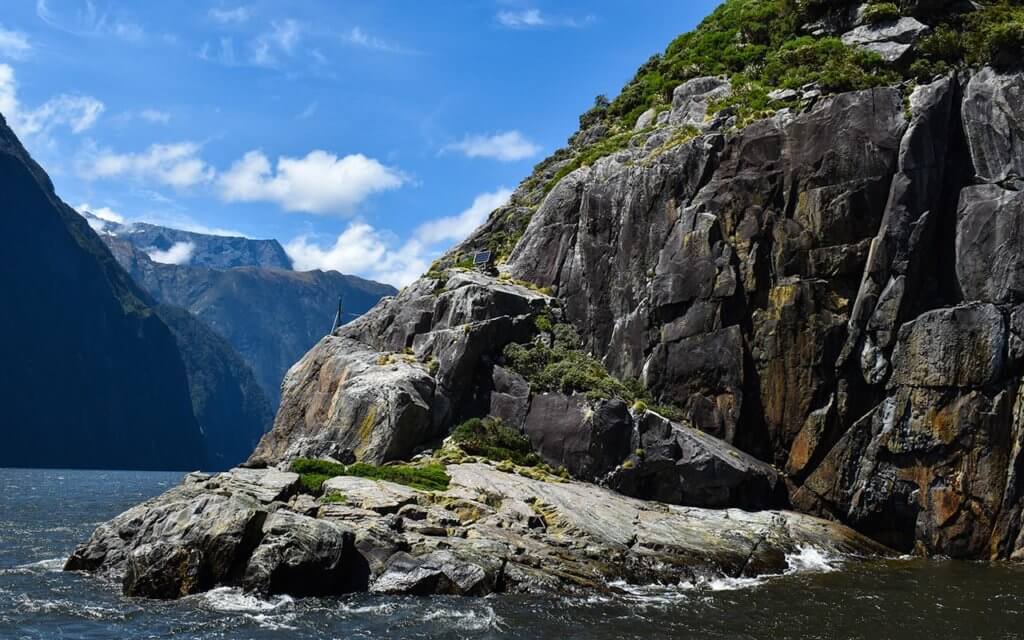 There is a seal colony in Milford Sound