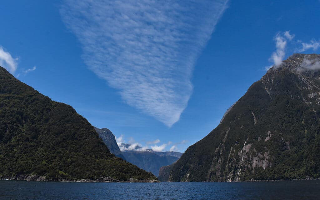 We had a beautiful sunny day in Milford Sound