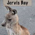 This is the ultimate weekend guide to Jervis Bay