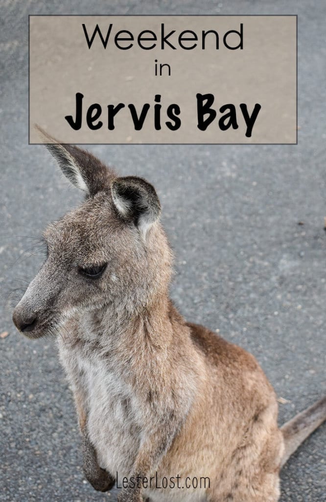 This is the ultimate weekend guide to Jervis Bay