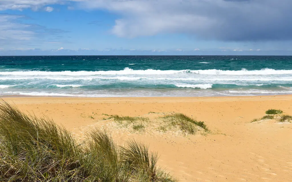 The beach at Bawley Point is quite windswept