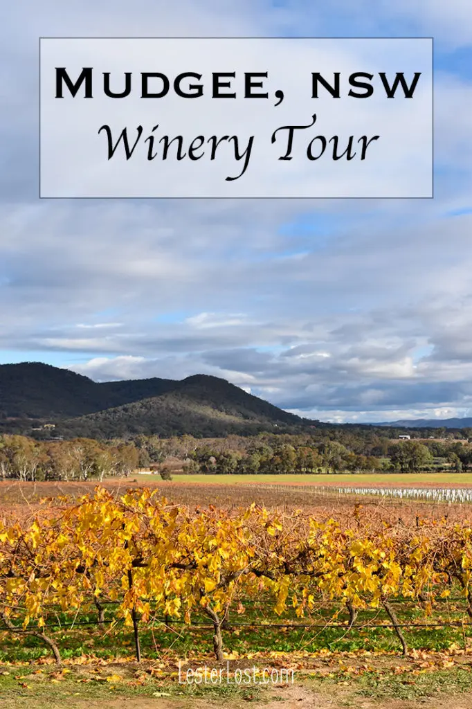 The Mudgee wineries are some of the best in NSW