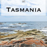 A Tasmania road trip is a wonderful holiday