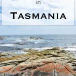 A Tasmania road trip is a wonderful holiday