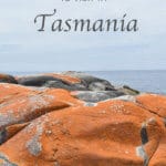 This is the ultimate guide for a Tasmania road trip