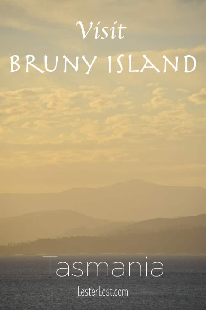 There are so many great things to do on Bruny Island