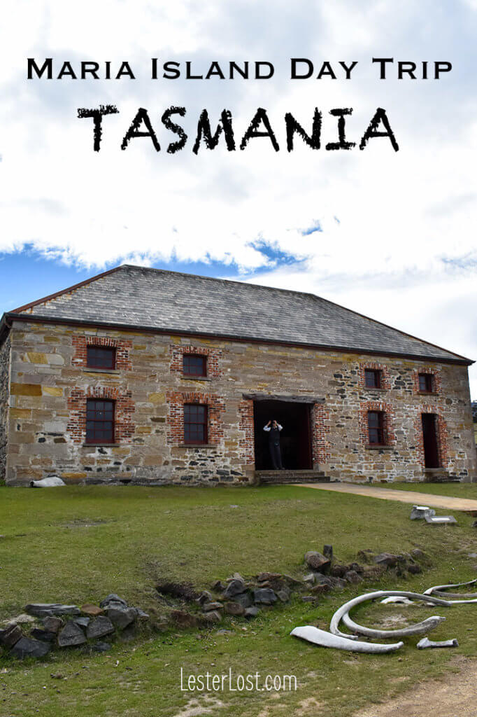 This is my guide for a day trip to Maria Island, Tasmania