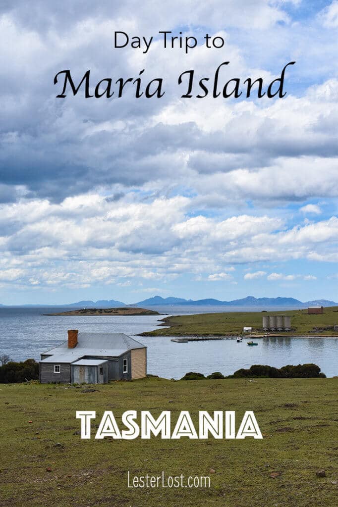 Maria Island in Tasmania is a great day trip