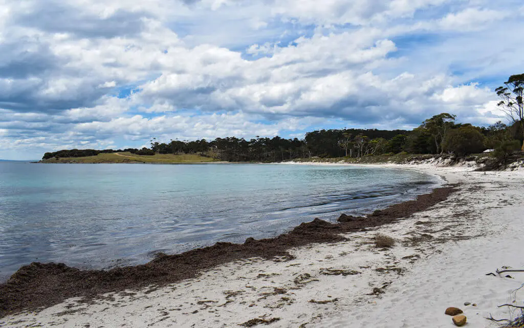 Encampment Cove is a great location for a picnic and a swim