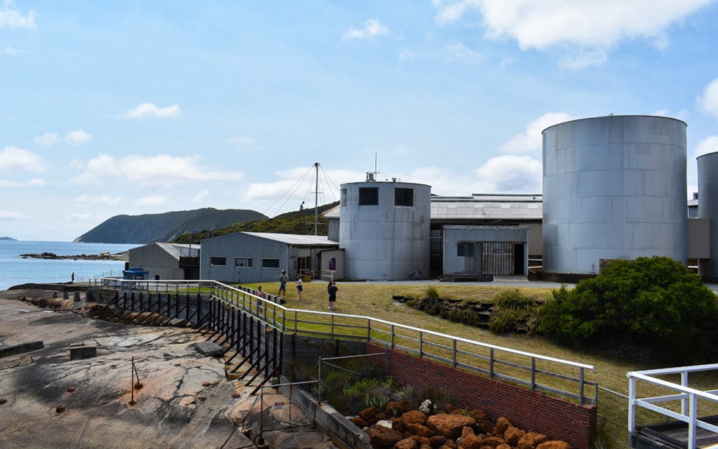 At the Albany Whaling Station, the oil tanks now hold cinema theatre