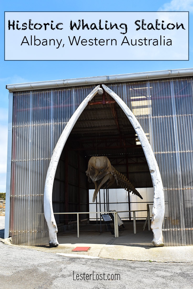 Should you visit the Historic Whaling Station, Albany? | LesterLost