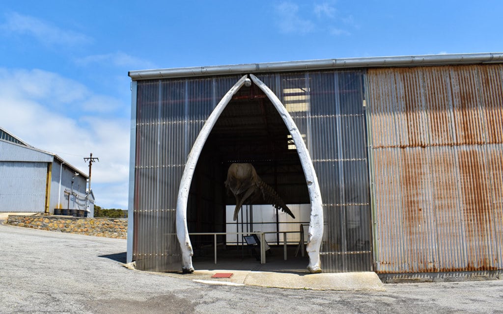 At the Albany Whaling Station, there are many exhibits to see in your own time 