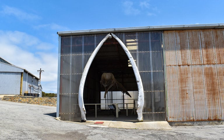 Should you visit the Historic Whaling Station, Albany? | LesterLost