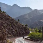 There are many reasons why you should drive in Morocco