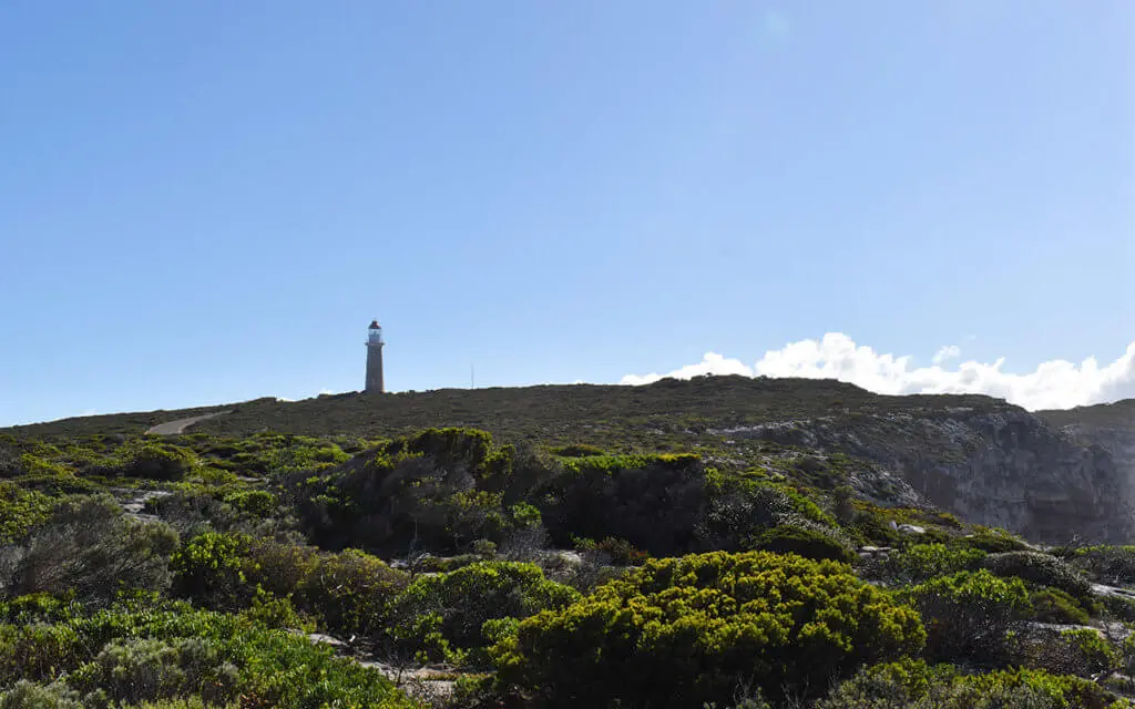 Cape du Couedic is one of the best places to visit in Kangaroo Island