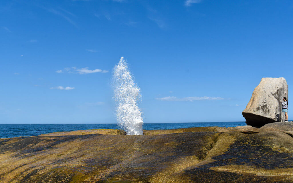 Be prepared for unexpected events when you travel on your own, including a blowhole!