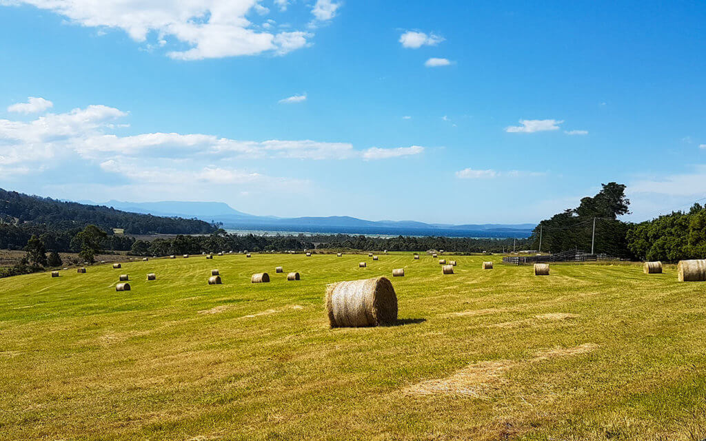 This lonely bale of hay in a Tasmanian field is a good metaphor for solo travel