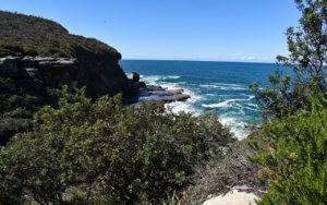 The Beautiful Bouddi National Park Coastal Walk | LesterLost