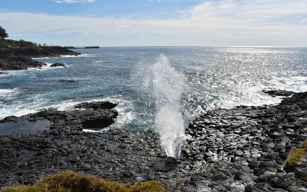The Little Blowhole is more active than the big one