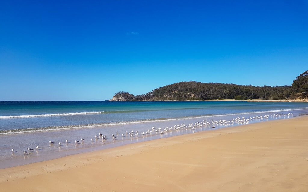 Batemans Bay is a great weekend destination on the NSW South Coast