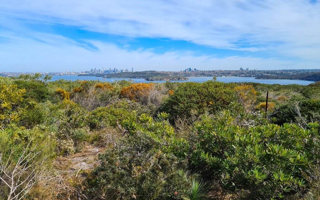 The views from the City Lookouts on North Head is so beautiful