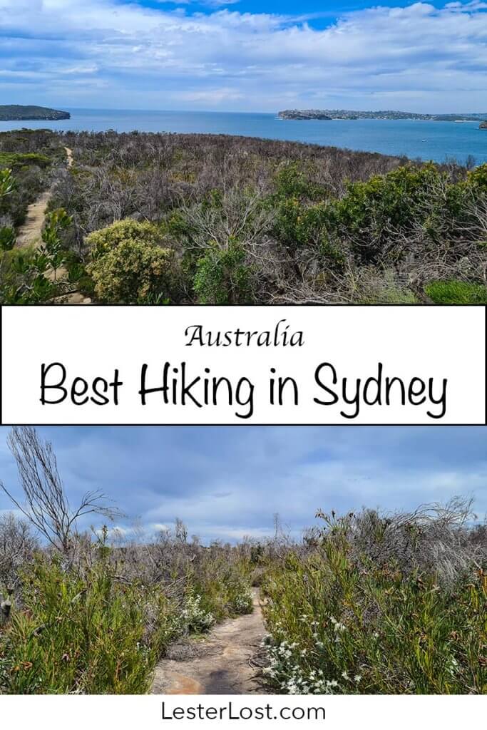 This list will show where to find the best hiking in Sydney