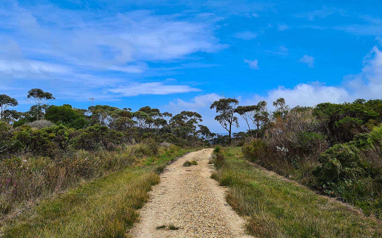 The Best Places To Go Bushwalking In Nsw Lesterlost