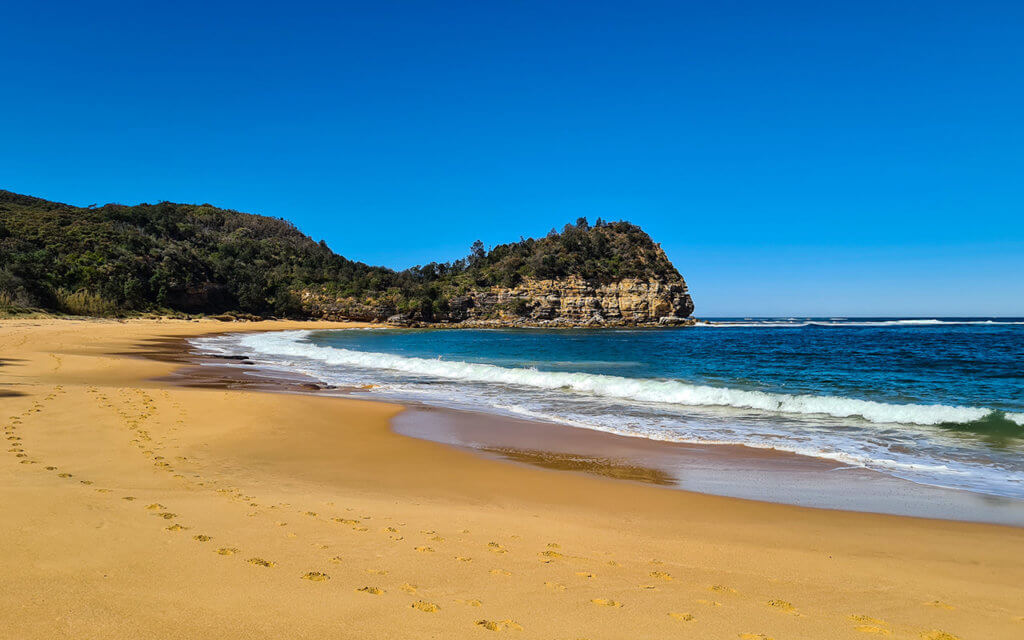 Maitland Bay is a lovely beach of the Bouddi National Park