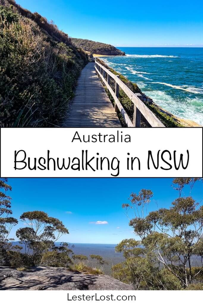 This is a great list of places to go bushwalking in NSW