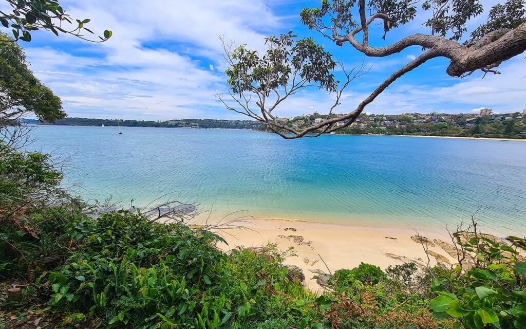 Castle Rock Beach is a secluded spot on the Manly to Spit Walk